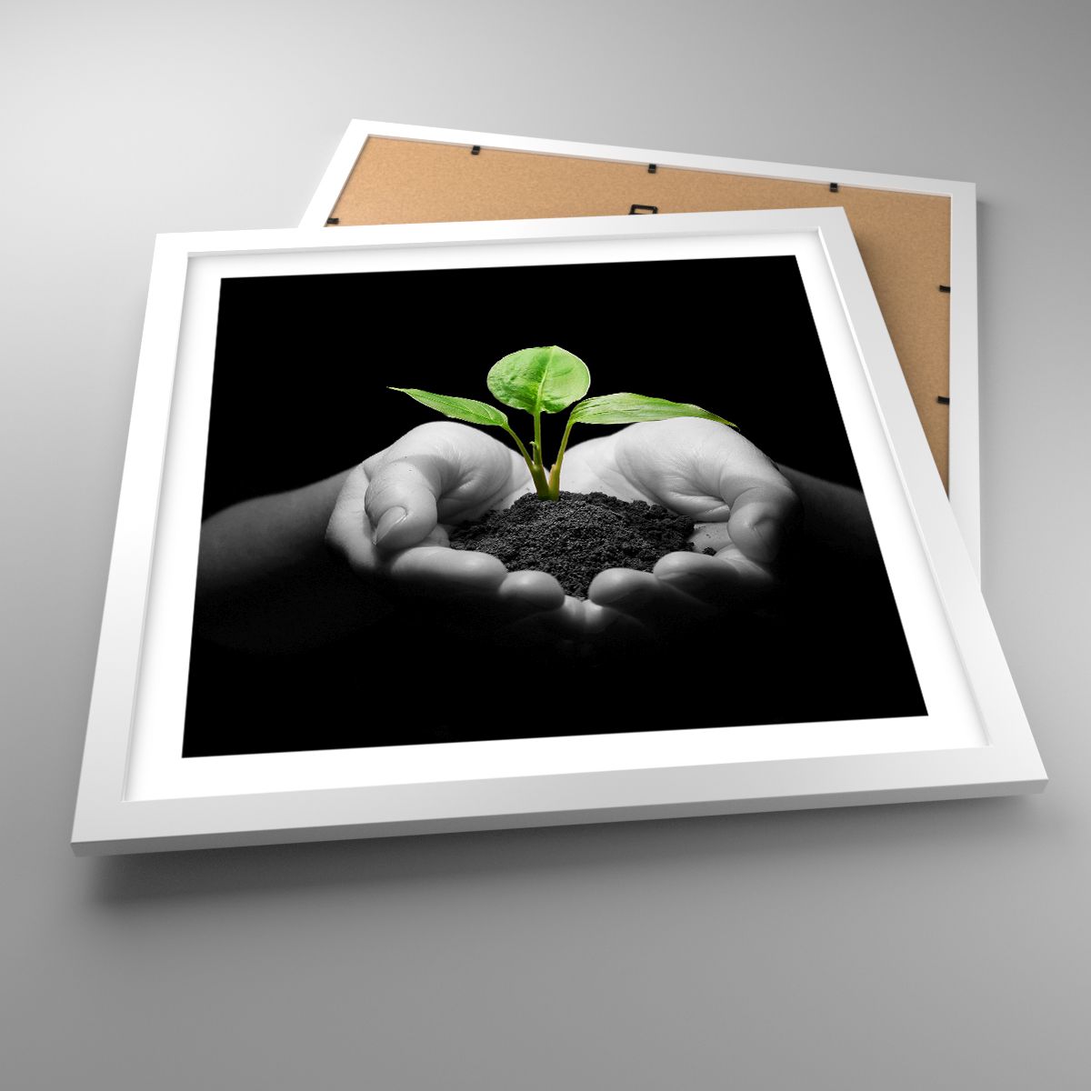 Affiche La Nature, Affiche La Vie, Affiche Plante, Affiche Environnement, Affiche Mains