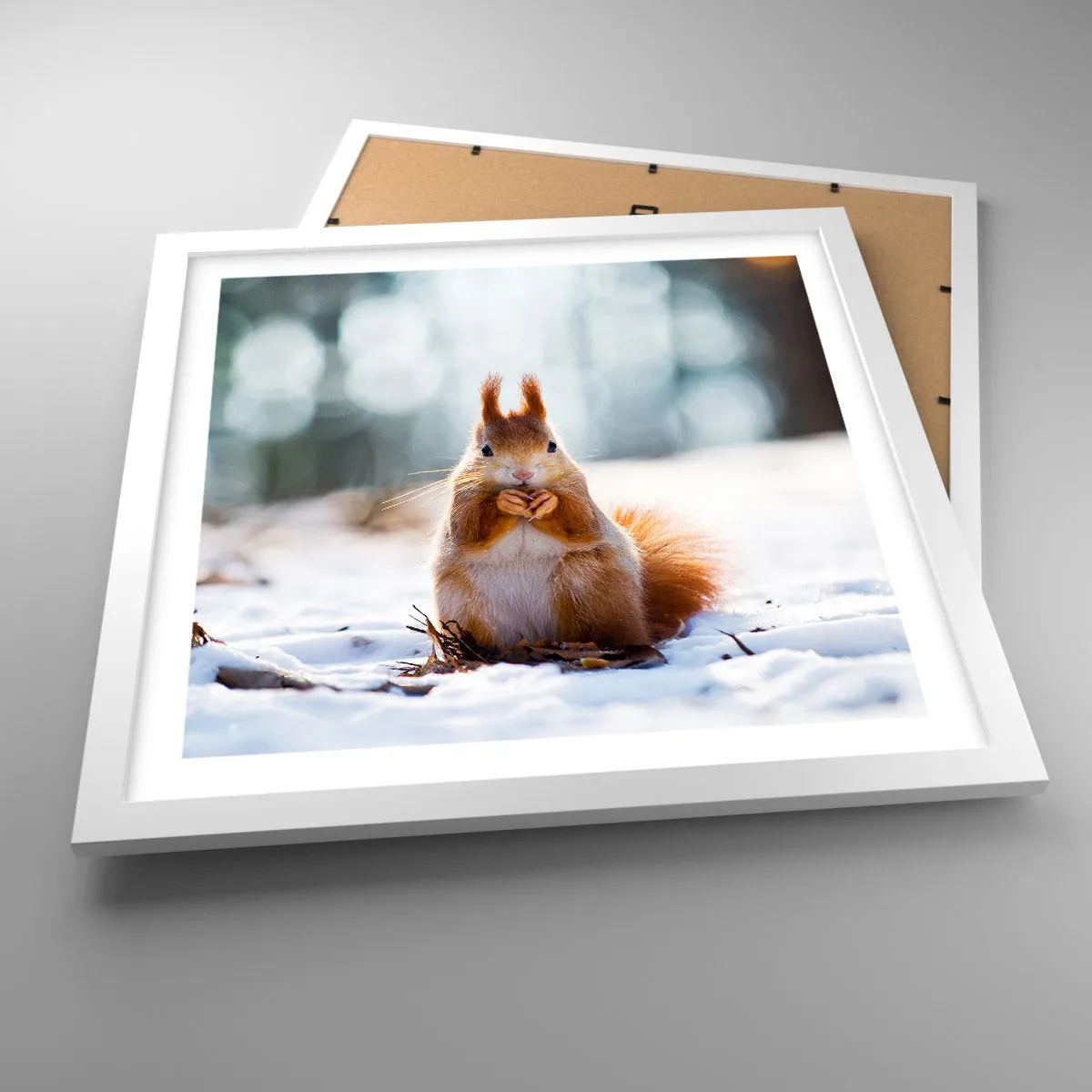 Poster in einem weißen Rahmen - Wo schaust du hin? - 40x40 cm