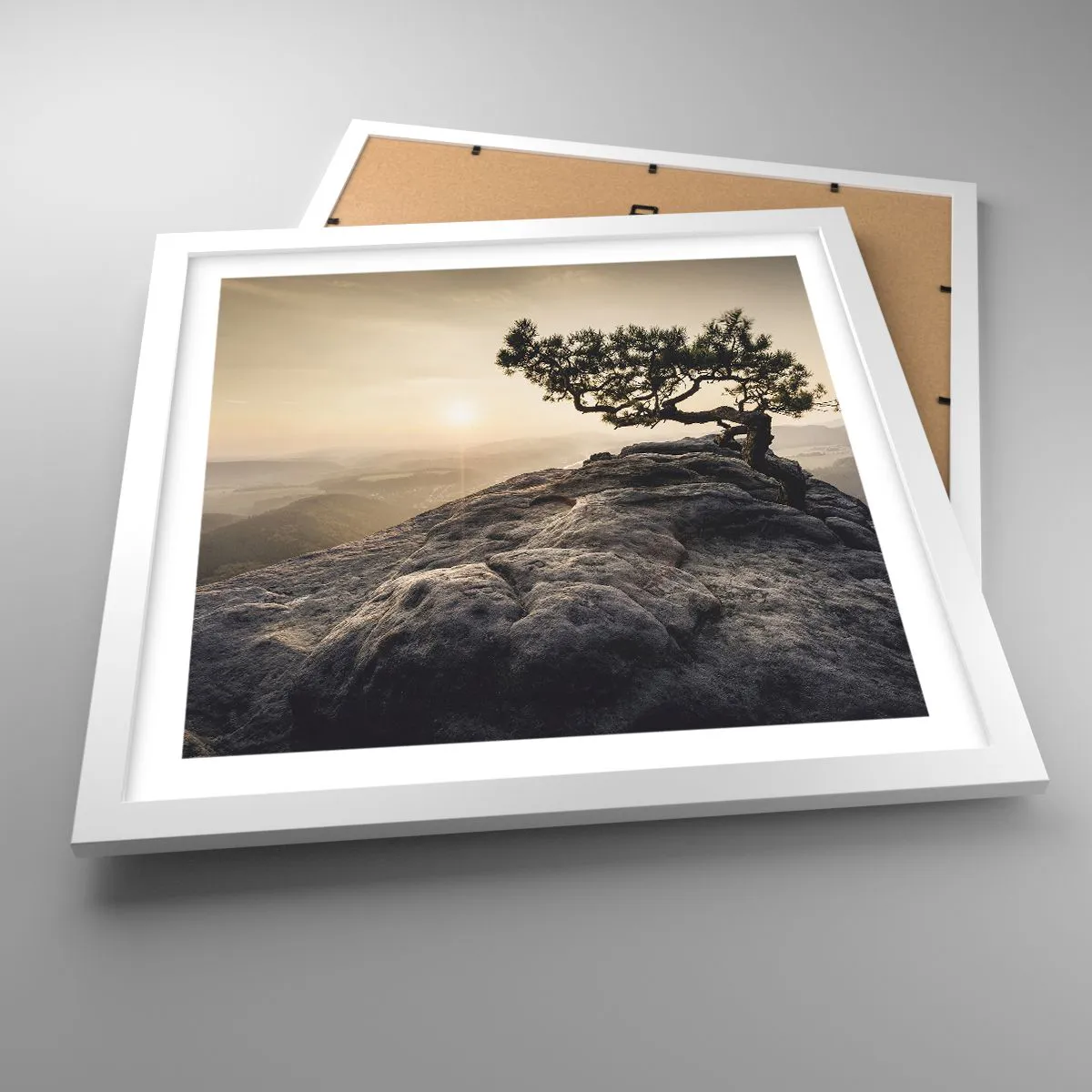 Plakát v bílém rámu - Život vždy vítězí - 40x40 cm