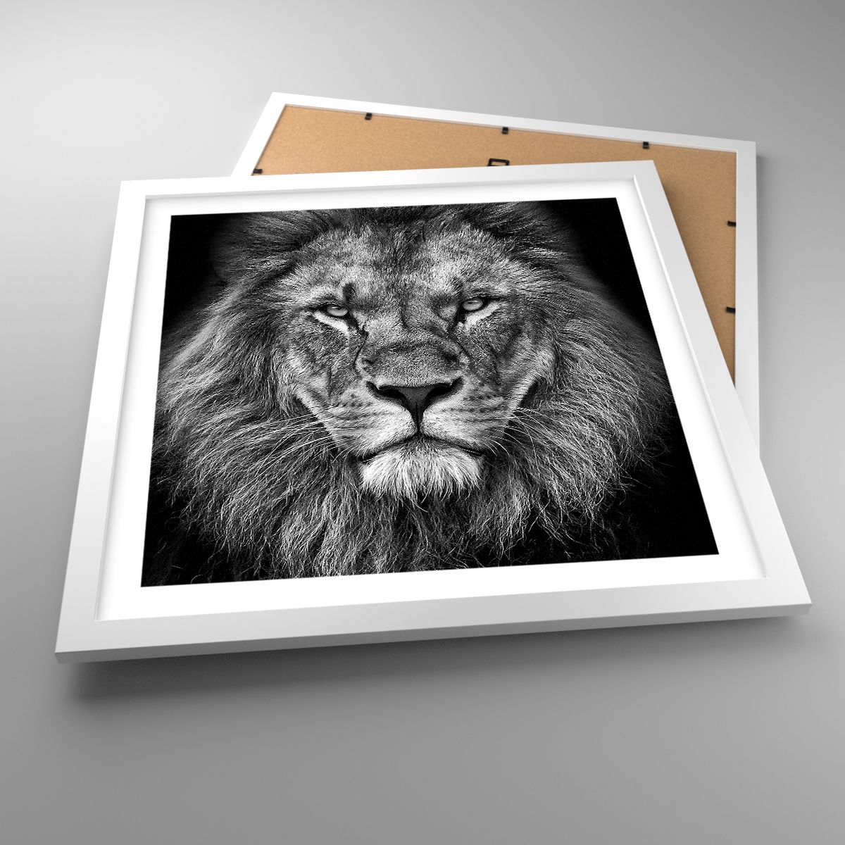 Affiche Animaux, Affiche Lion, Affiche Noir Et Blanc, Affiche La Nature, Affiche Afrique
