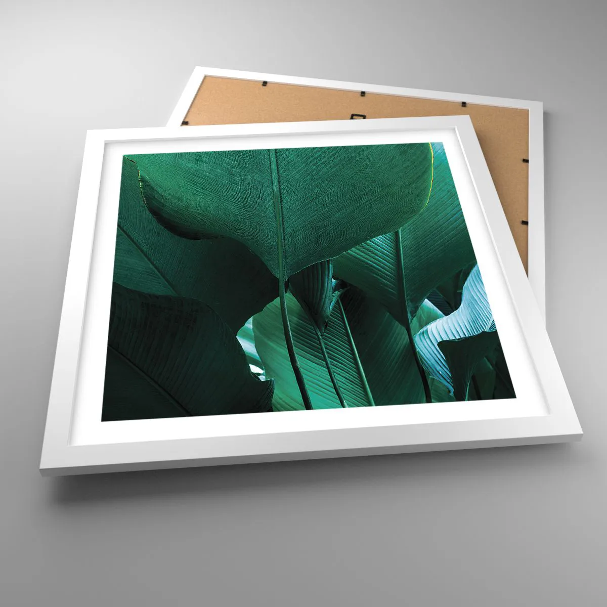 Poster in einem weißen Rahmen - Dem Licht zugewandt - 40x40 cm