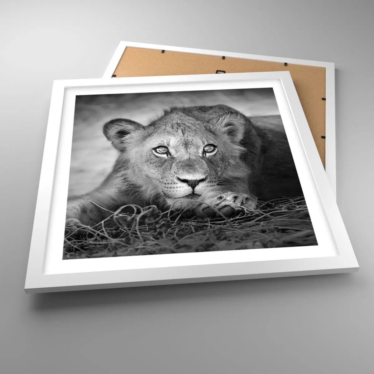 Poster in einem weißen Rahmen - Königlicher Welpe - 40x40 cm