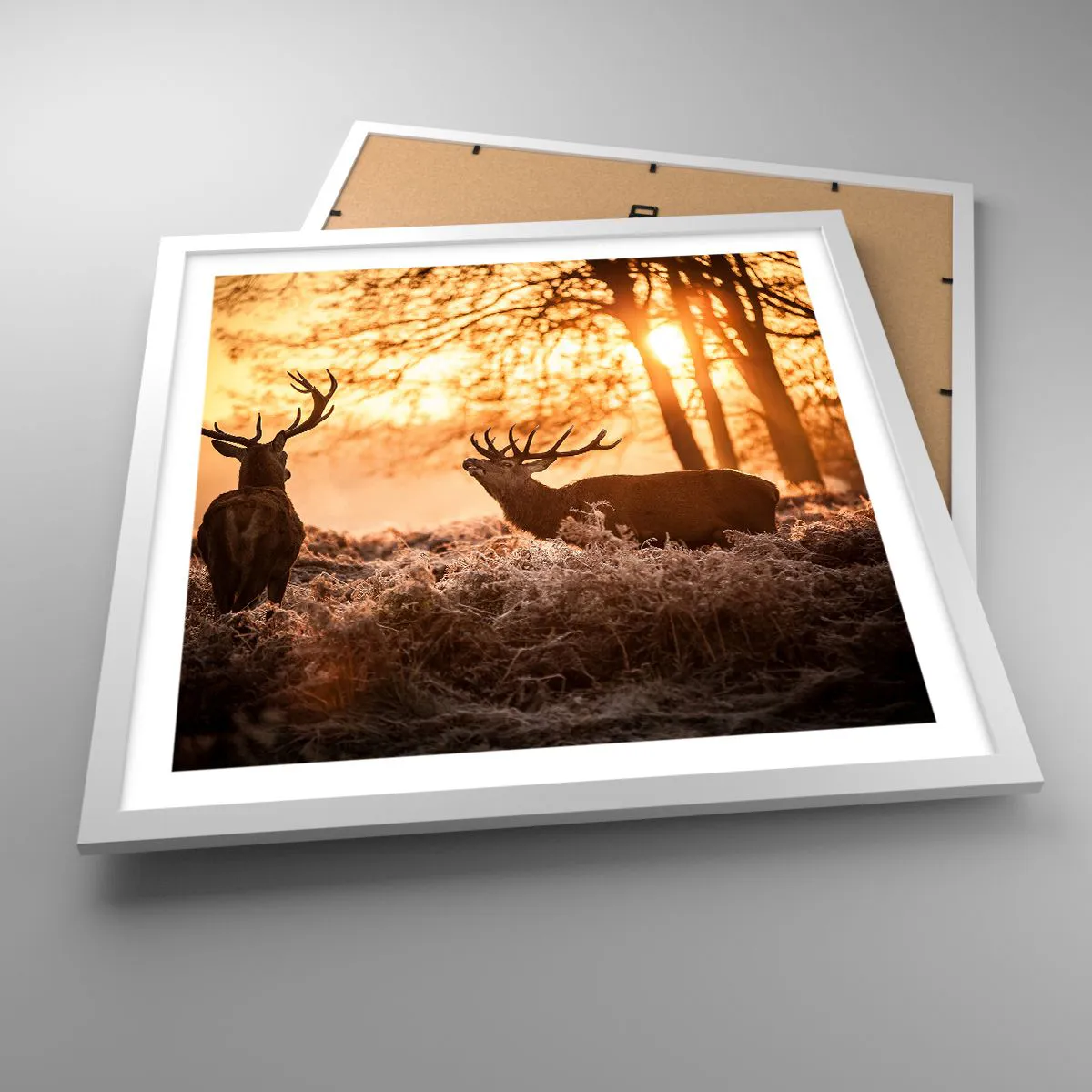Poster în ramă albă - Visul unui vânător - 50x50 cm
