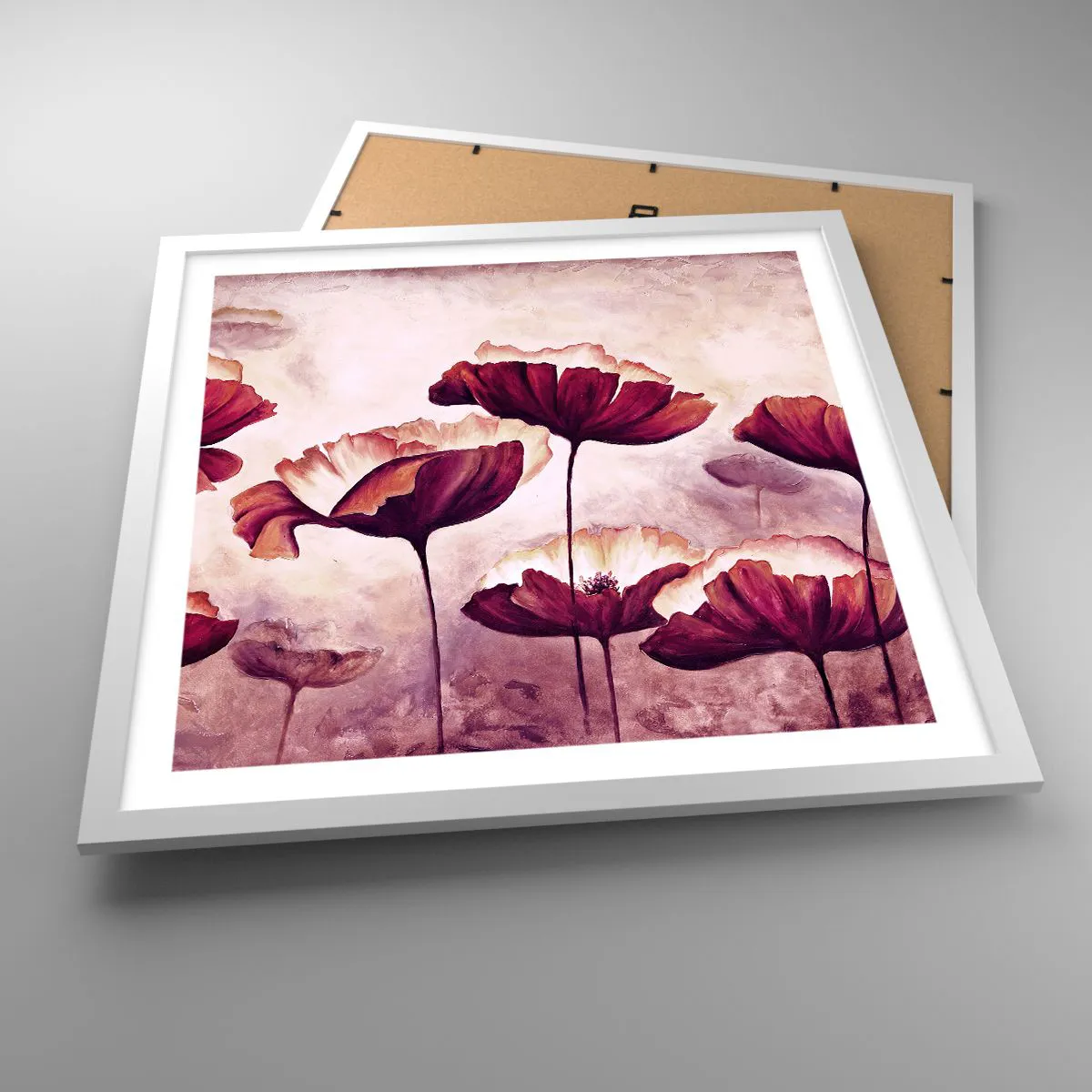 Plakat w białej ramie - Płatek czerwony i biały - 50x50 cm