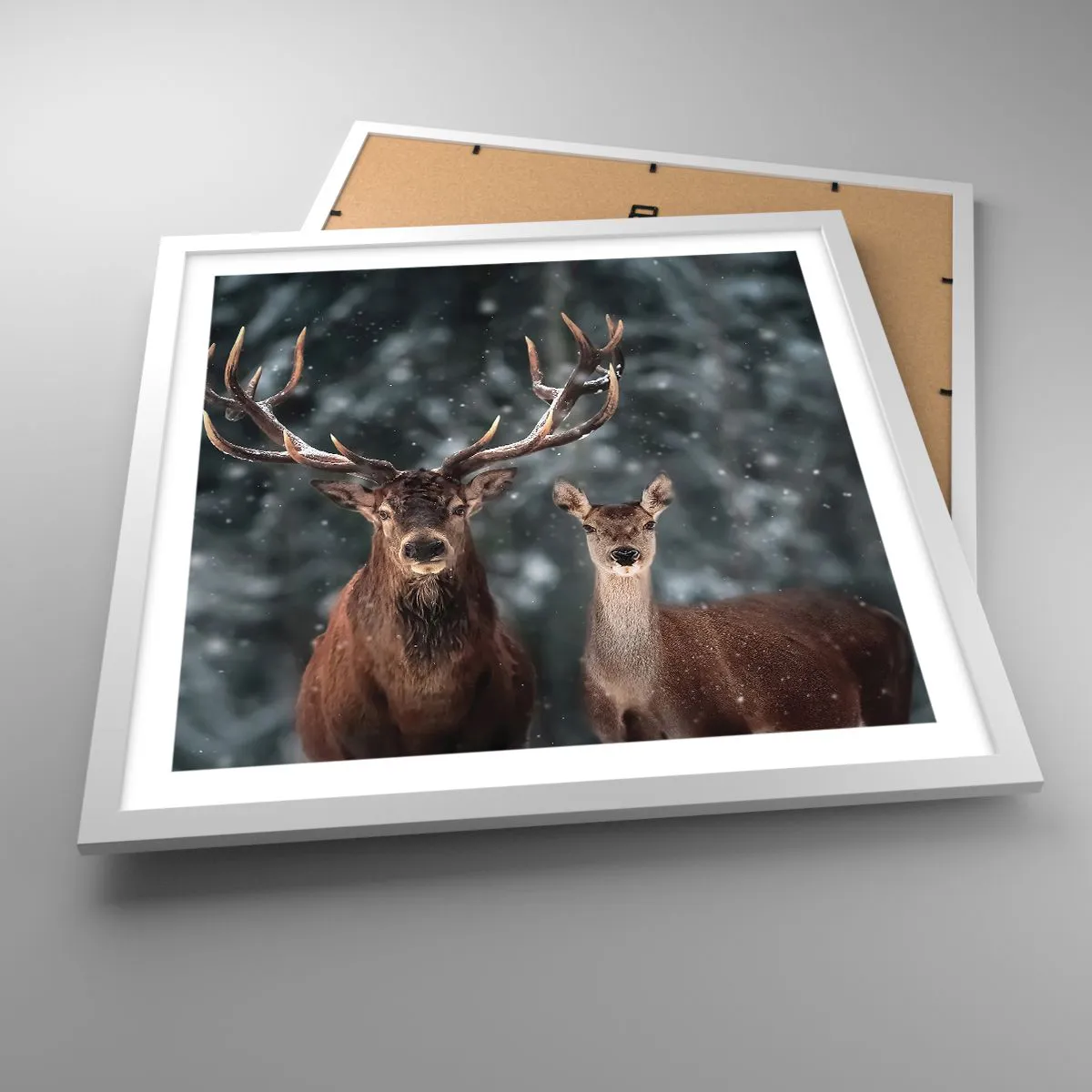 Poster in cornice bianca - Il re della foresta con la consorte - 50x50 cm