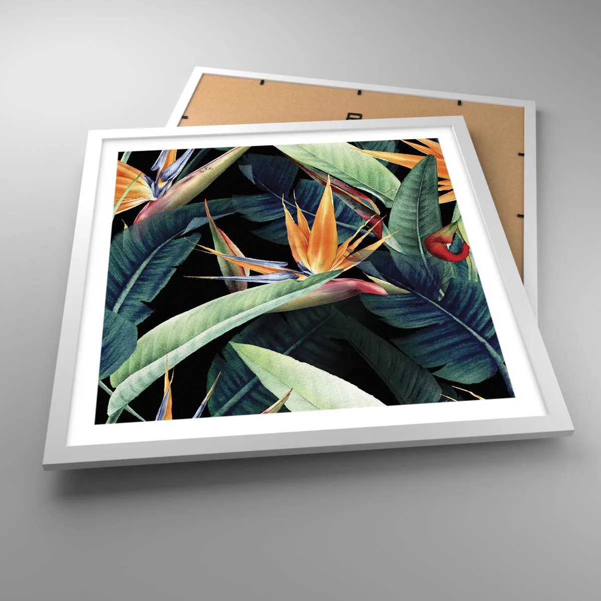 Affisch i vit ram - Tropikens brinnande blommor - 50x50 cm