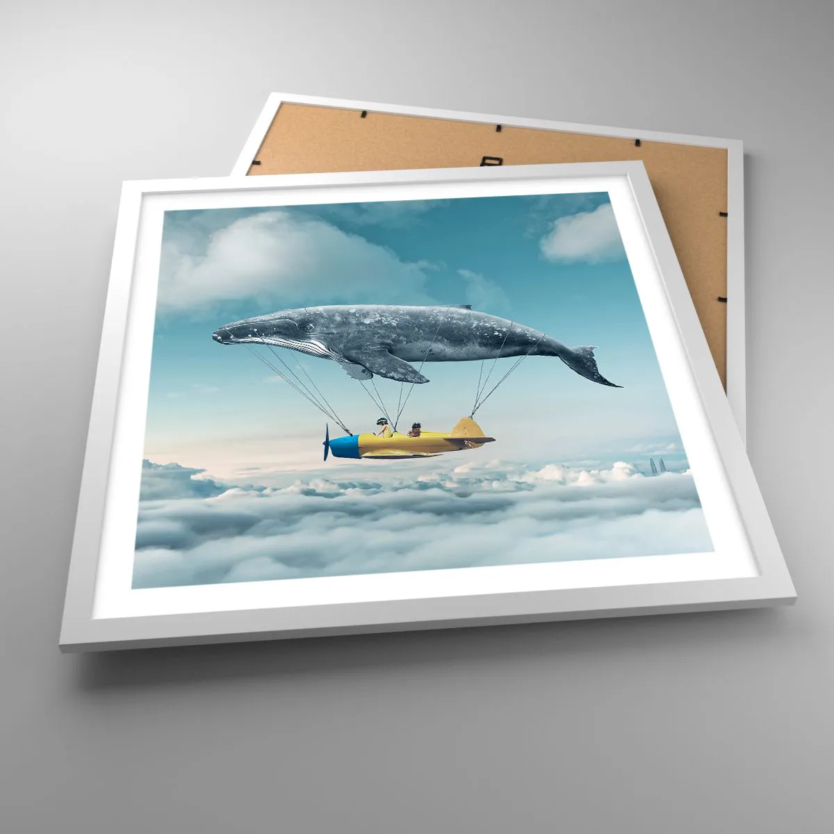 Plakát v bílém rámu - Proč ne? - 50x50 cm