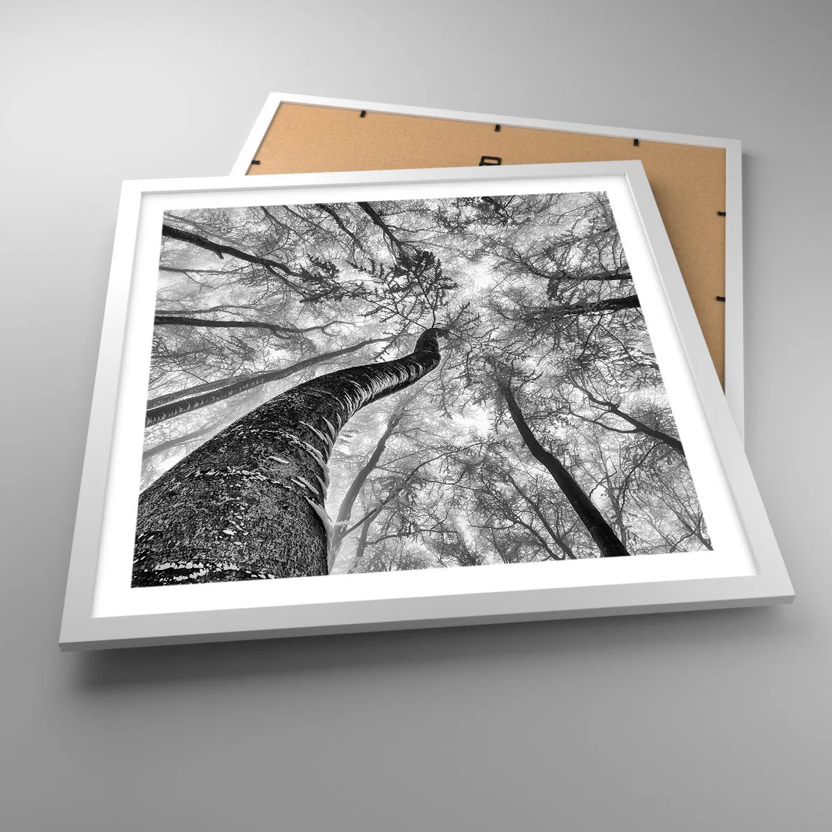 Poszter fekete keretben - Verseny a fény felé - 50x50 cm