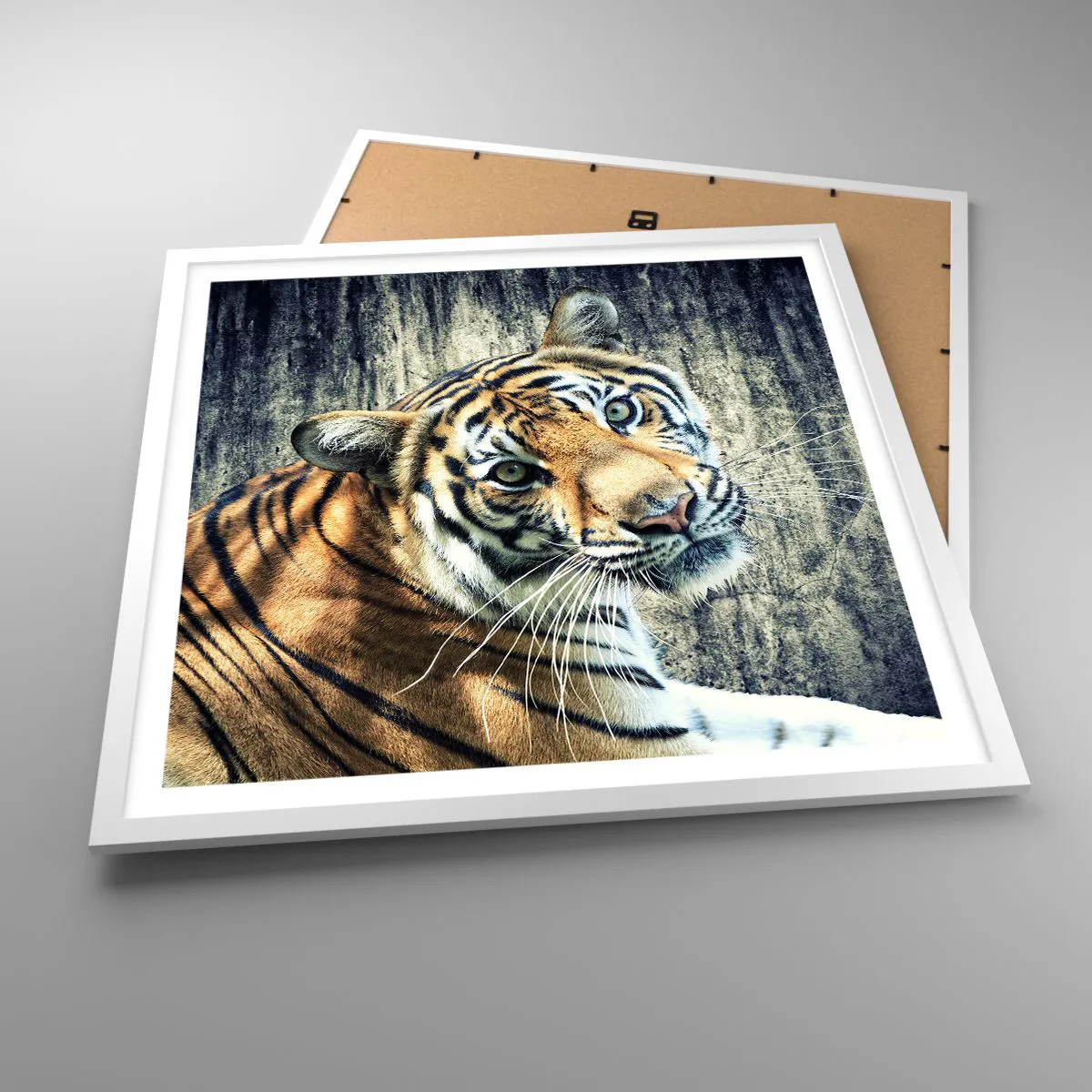 Affiche dans un cadre blanc - Poster - Portrait dans les flots de lumière - 60x60 cm