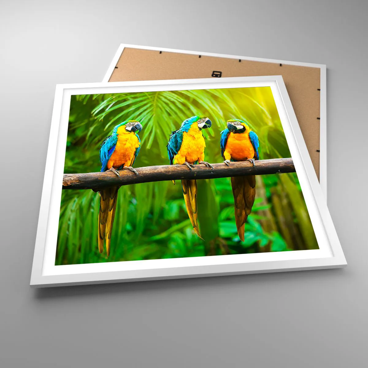 Affiche dans un cadre blanc - Poster - Et avez-vous entendu qu'elle ...? - 60x60 cm