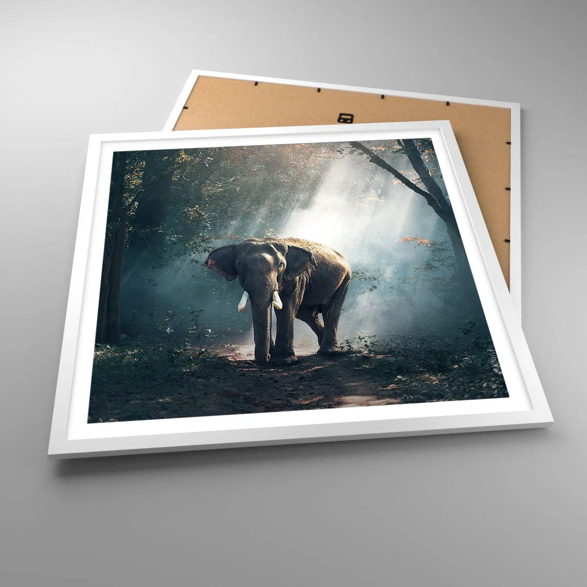 Plakát v bílém rámu - Klidná procházka - 60x60 cm