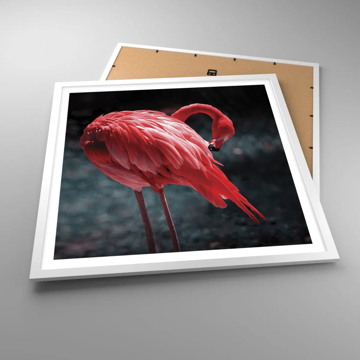 Poster in white frmae - Crimson Poem of Nature - 60x60 cm