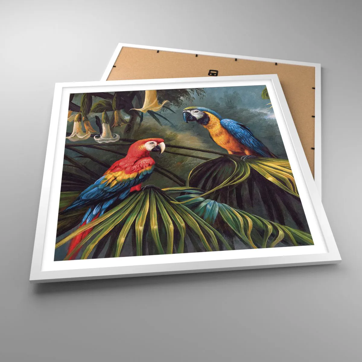 Poster in white frmae - Romanticism in Tropics - 60x60 cm