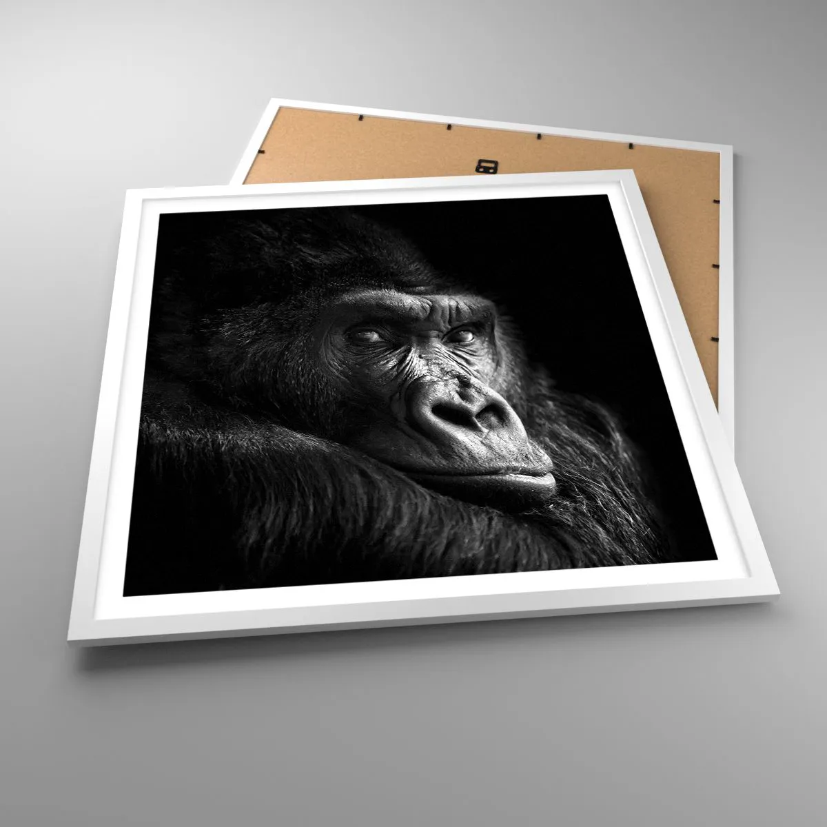 Poster in einem weißen Rahmen - Und was guckst du so? - 60x60 cm