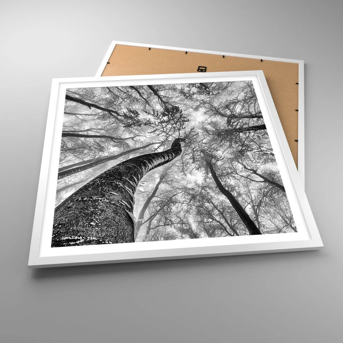 Poszter fekete keretben - Verseny a fény felé - 60x60 cm