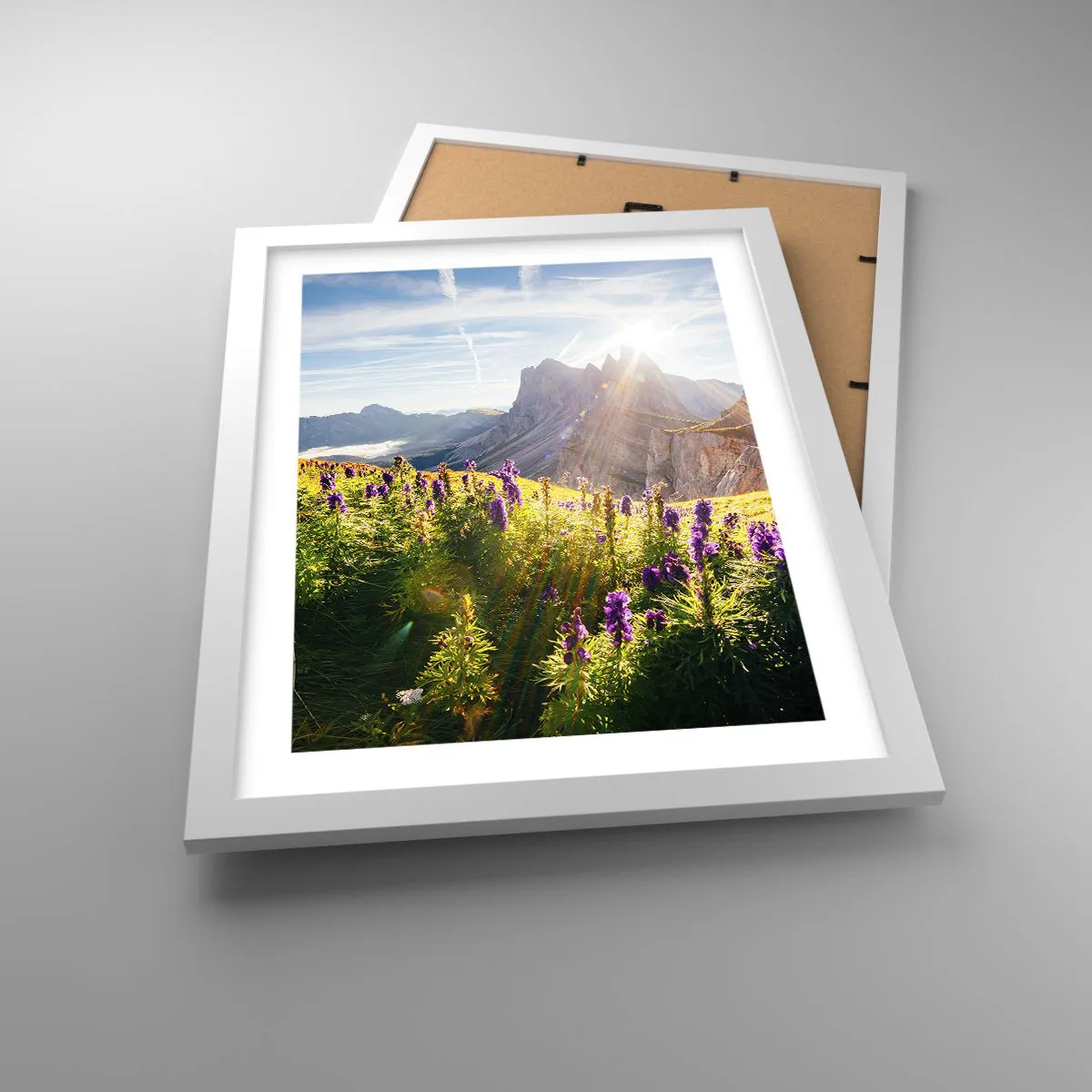 Plakát v bílém rámu - Tajemný život bylin - 30x40 cm