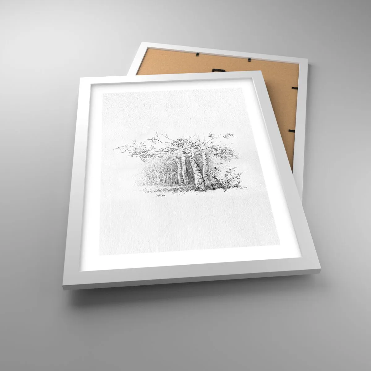 Plakát v bílém rámu - Světlo březového lesa - 30x40 cm