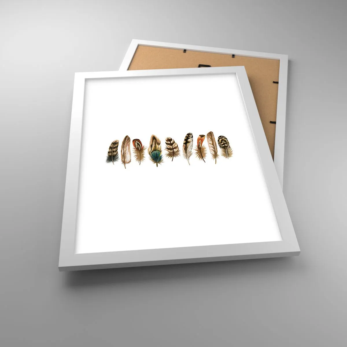 Poster in white frmae - Feather Variation - 30x40 cm