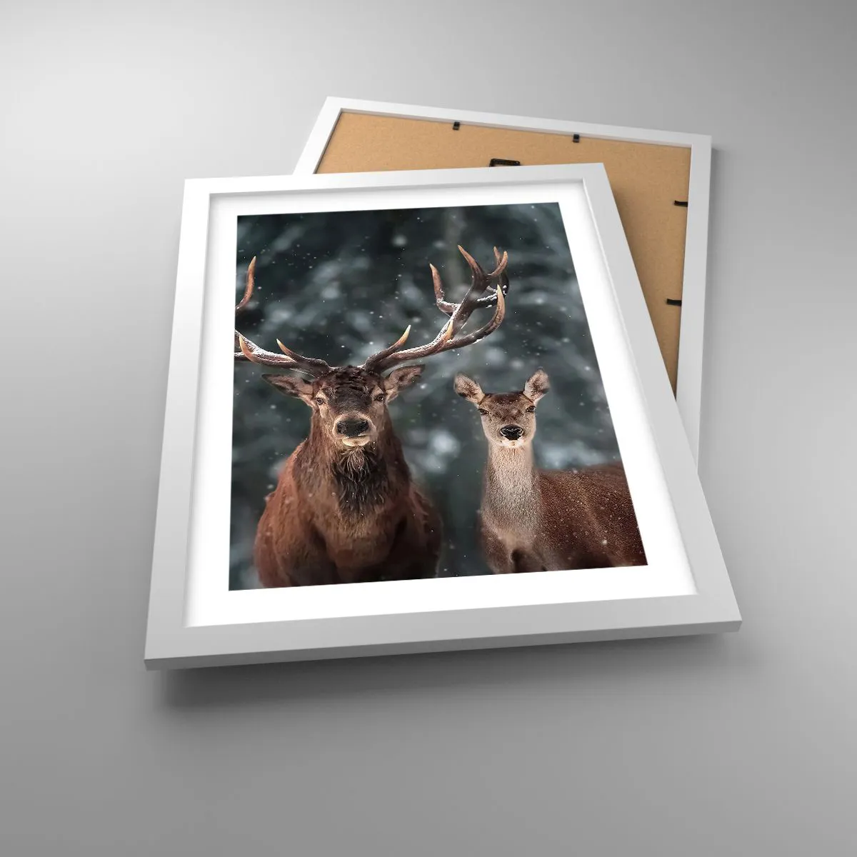 Poster in cornice bianca - Il re della foresta con la consorte - 30x40 cm