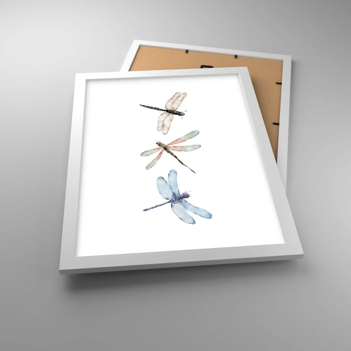 Plakat w białej ramie - Ważki nieważkie - 30x40 cm