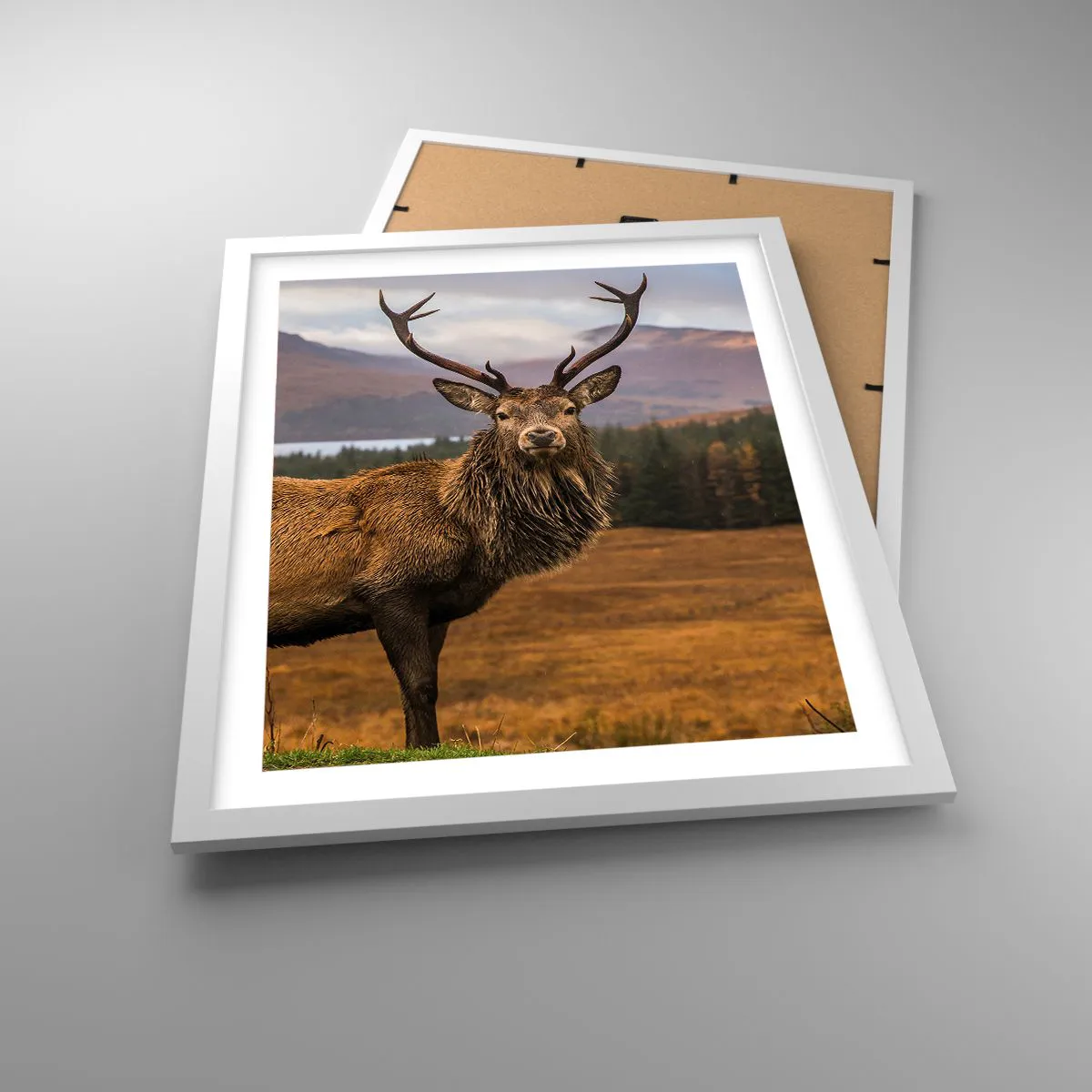 Poster in white frmae - Majesty of Nature - 40x50 cm