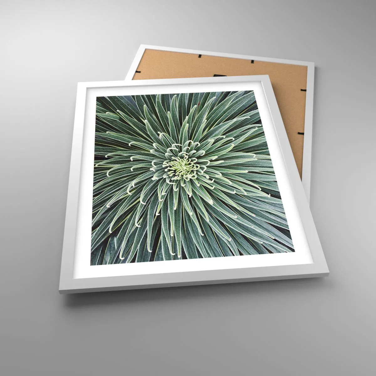 Plakat w białej ramie - Narodziny gwiazdy - 40x50 cm