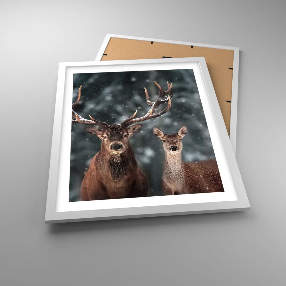 Poszter fekete keretben - Az erdő ura a feleségével - 40x50 cm