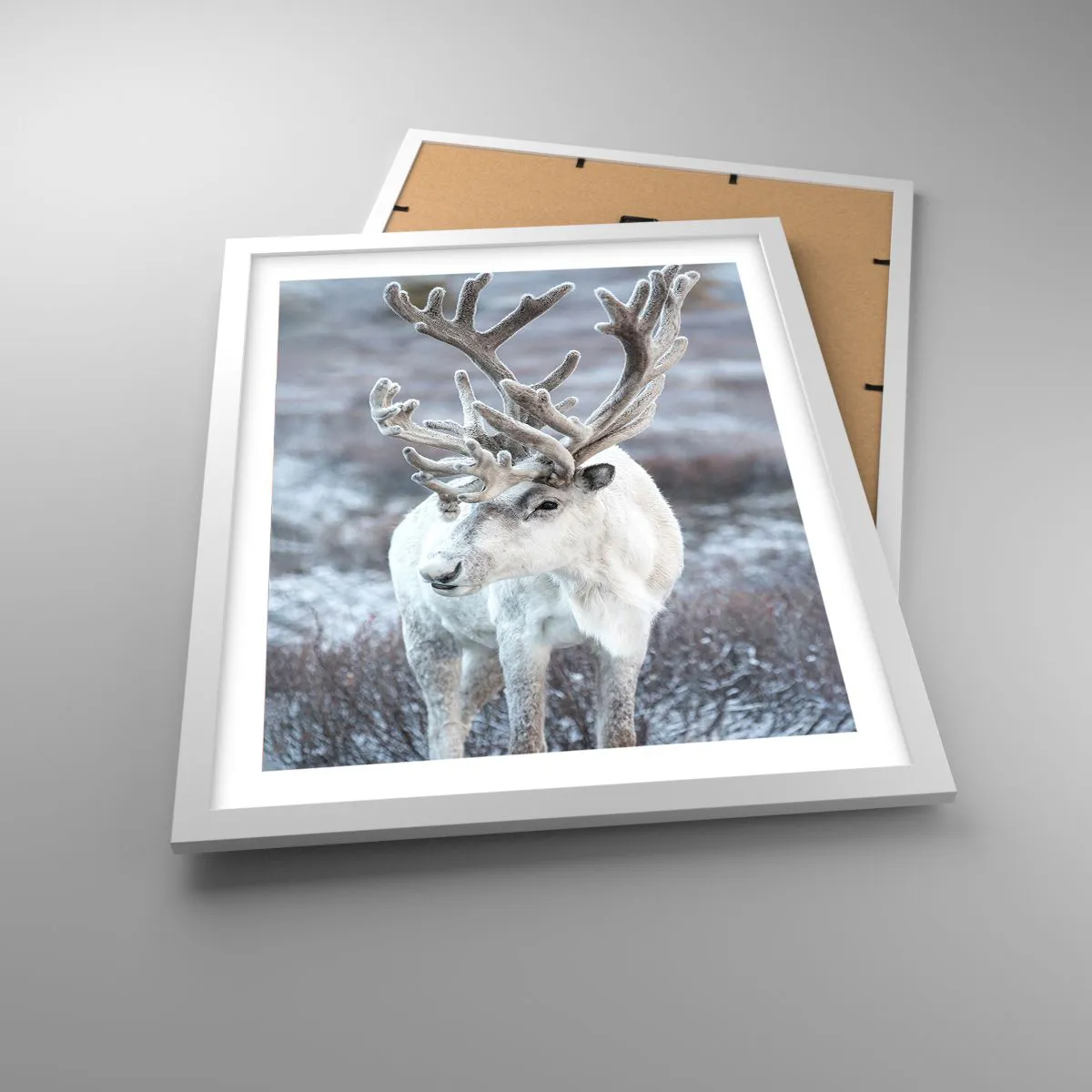 Poster in een witte lijst - Portret in de zon - 40x50 cm