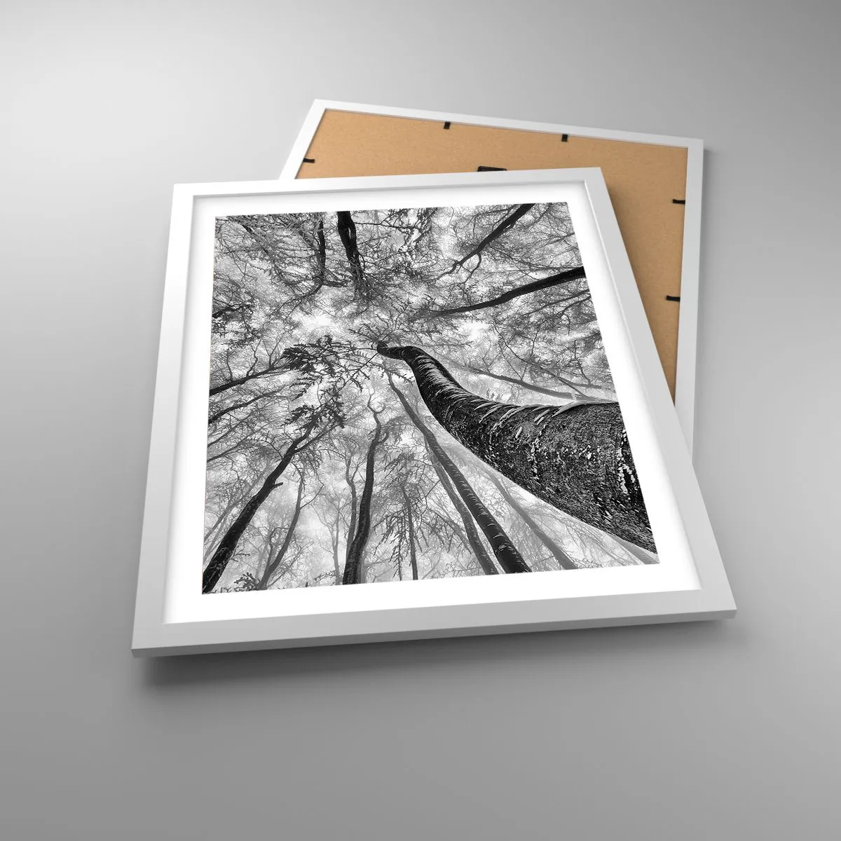 Poszter fekete keretben - Verseny a fény felé - 40x50 cm