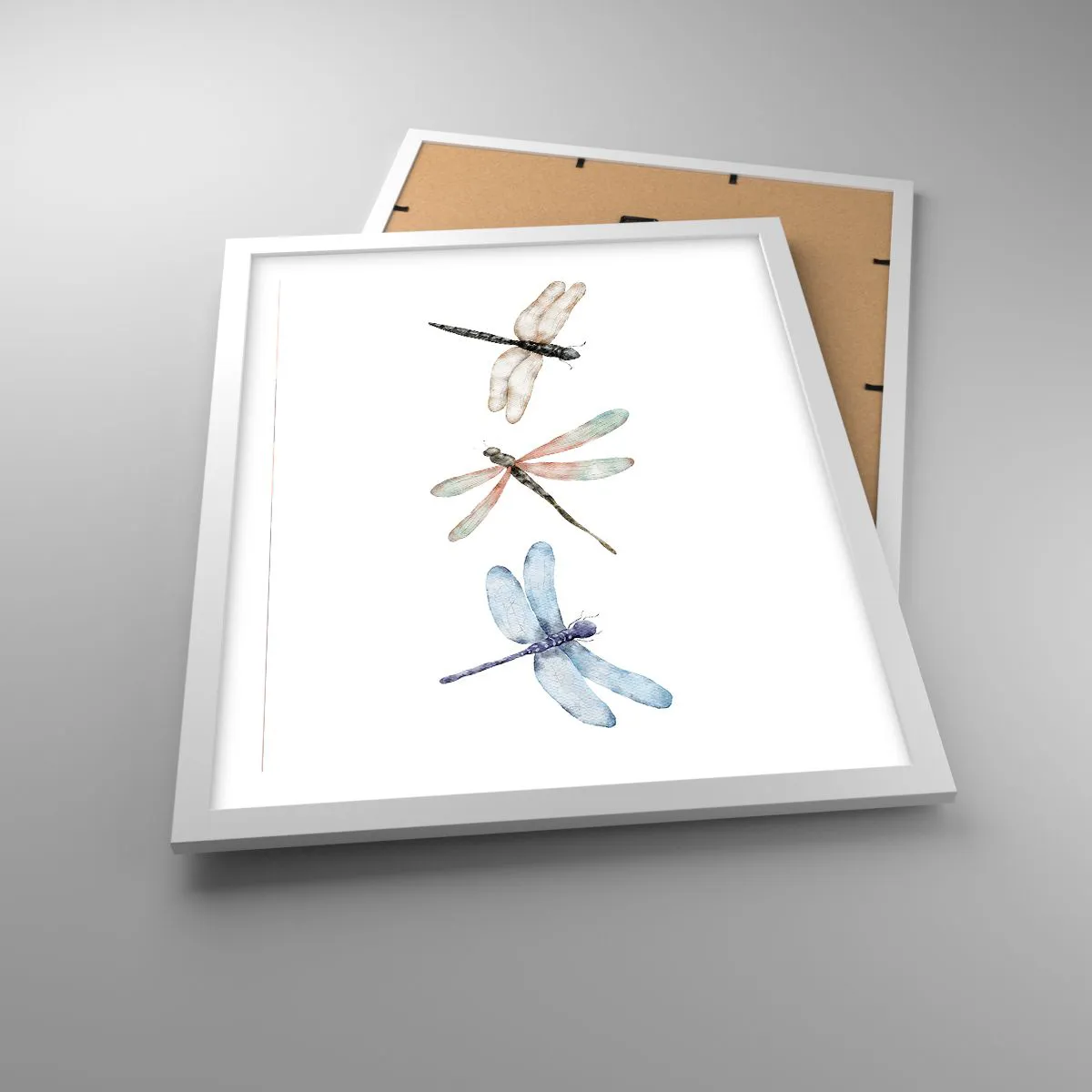 Poster in einem weißen Rahmen - Schwerelose Libellen - 40x50 cm