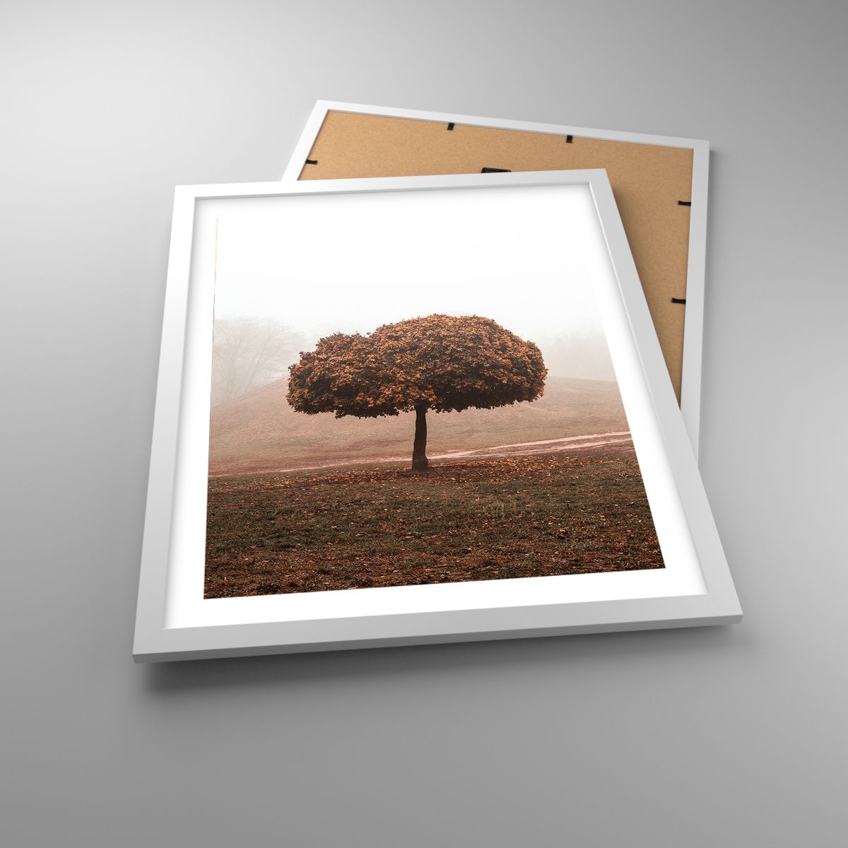 Plakat Træ, Plakat Efterår, Plakat Natur