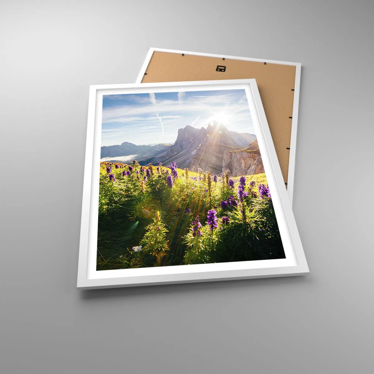 Affiche dans un cadre blanc - Poster - La vie secrète des herbes - 50x70 cm