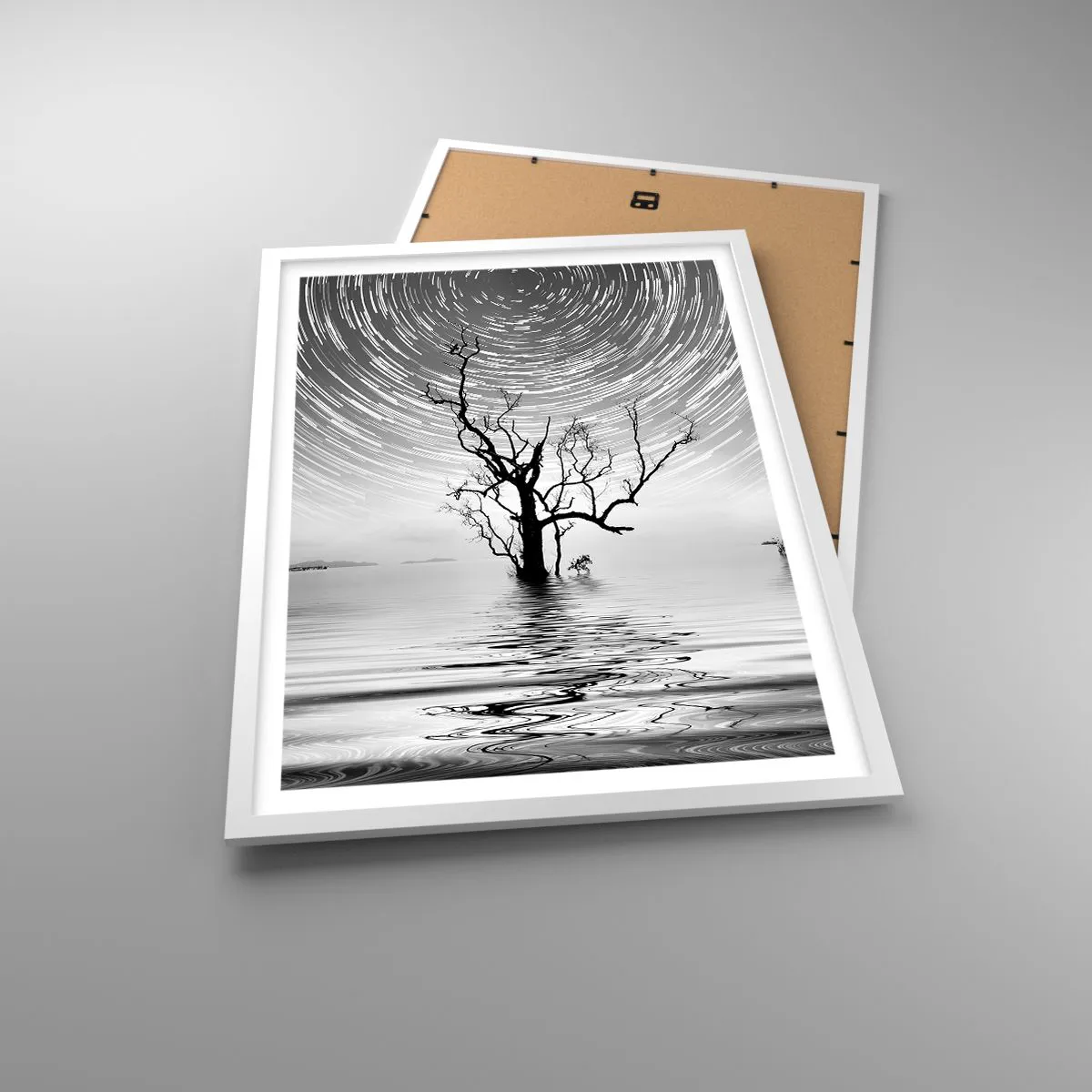 Affisch i vit ram - Naturens symfoni - 50x70 cm