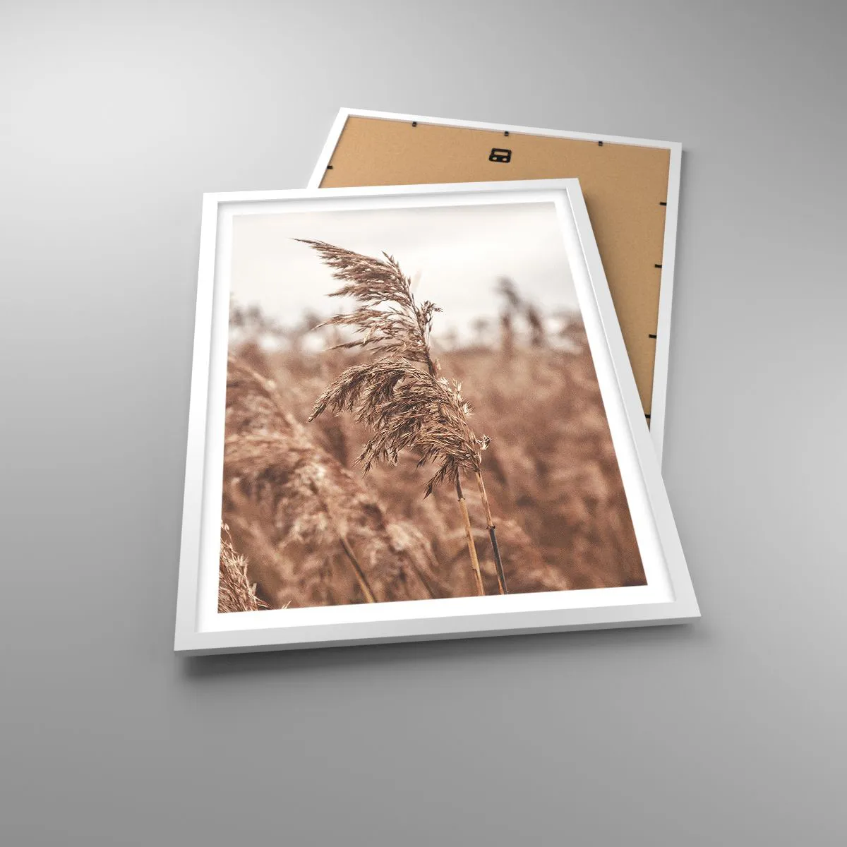 Affiche dans un cadre blanc - Poster - C'est déjà l'automne dans les champs - 50x70 cm