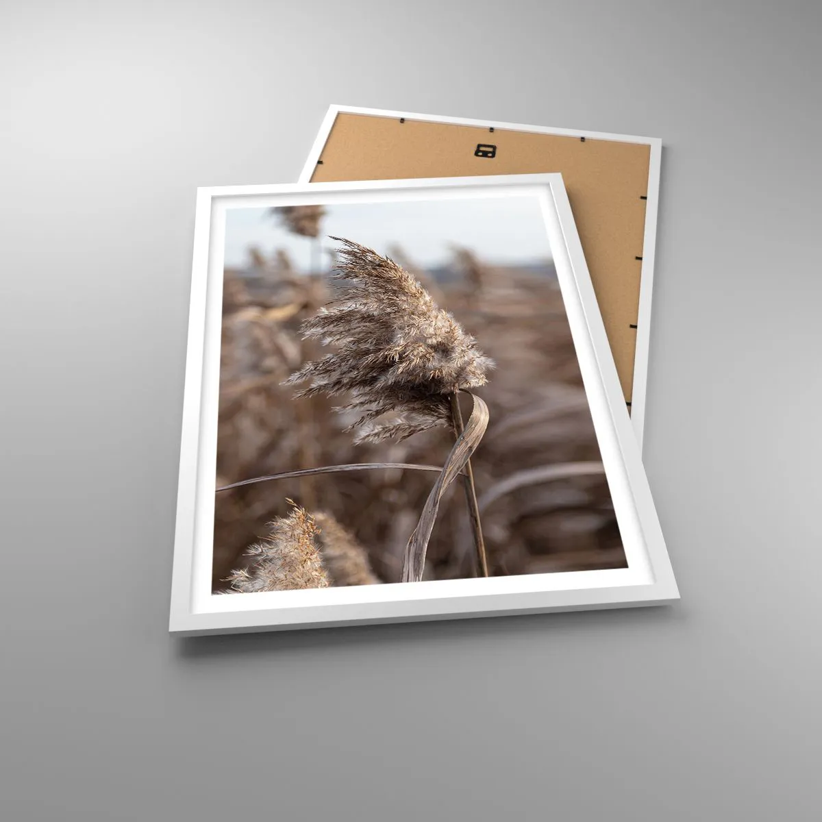 Poster in white frmae - Time to Fly with the Wind - 50x70 cm