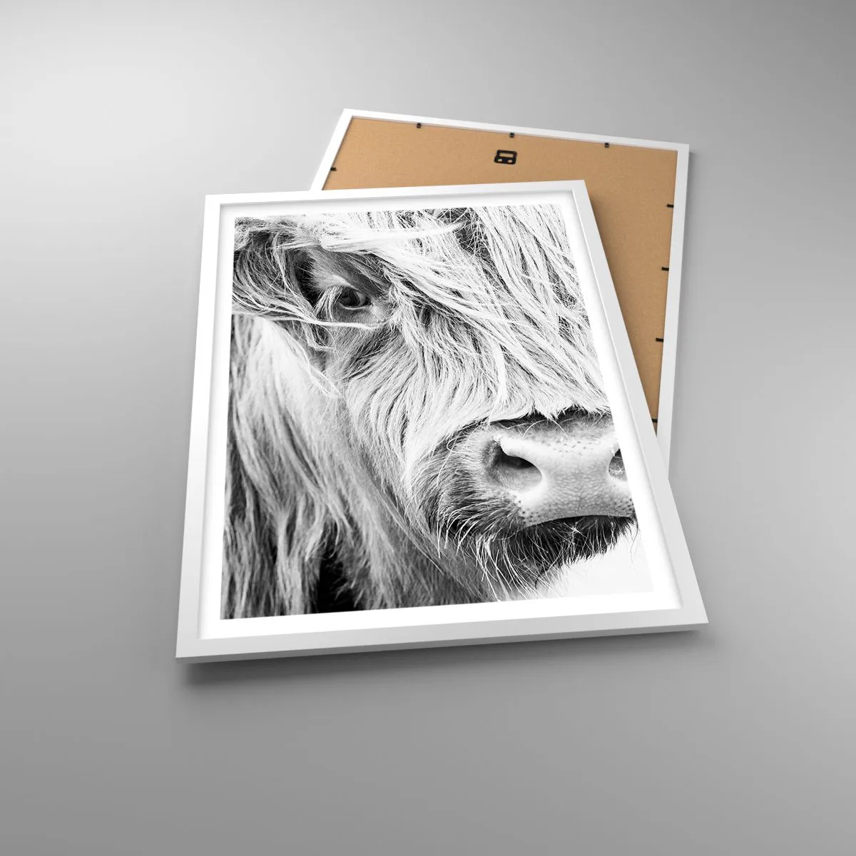 Affiche dans un cadre blanc - Poster - Sauvagerie écossaise - 50x70 cm