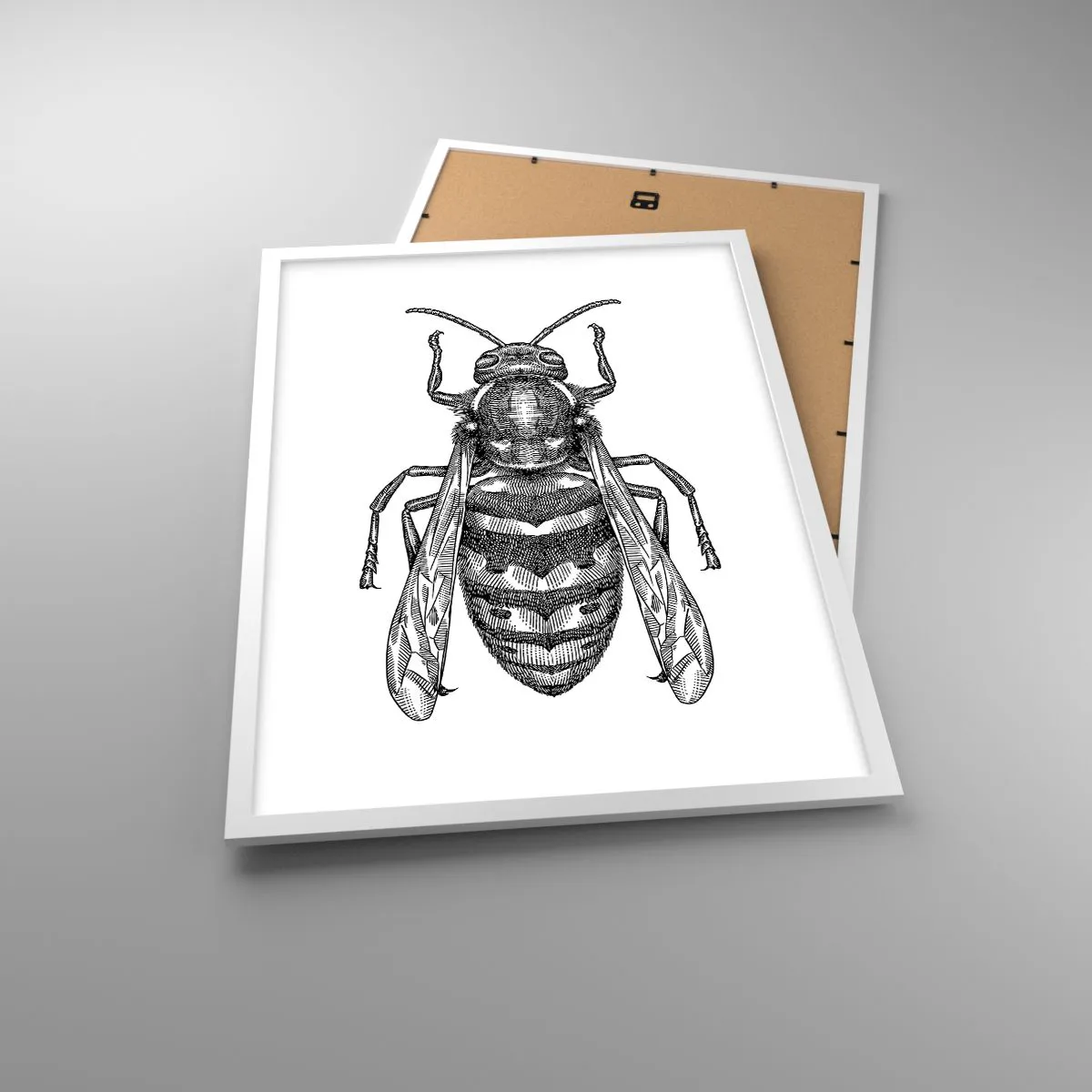 Poster in white frmae - From Insect Planet - 50x70 cm