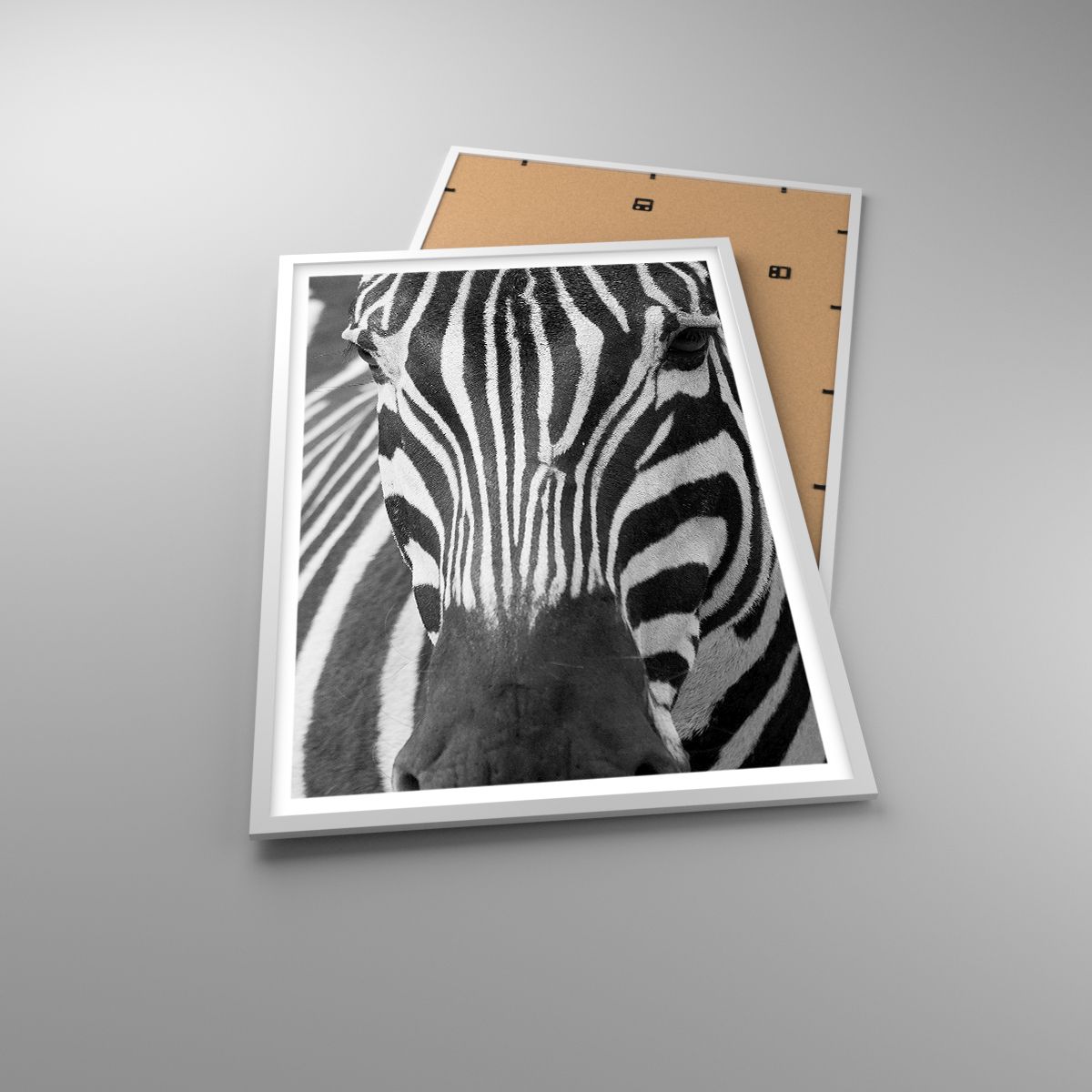 Affiche Animaux, Affiche Côtes, Affiche Noir Et Blanc, Affiche Afrique, Affiche Safari