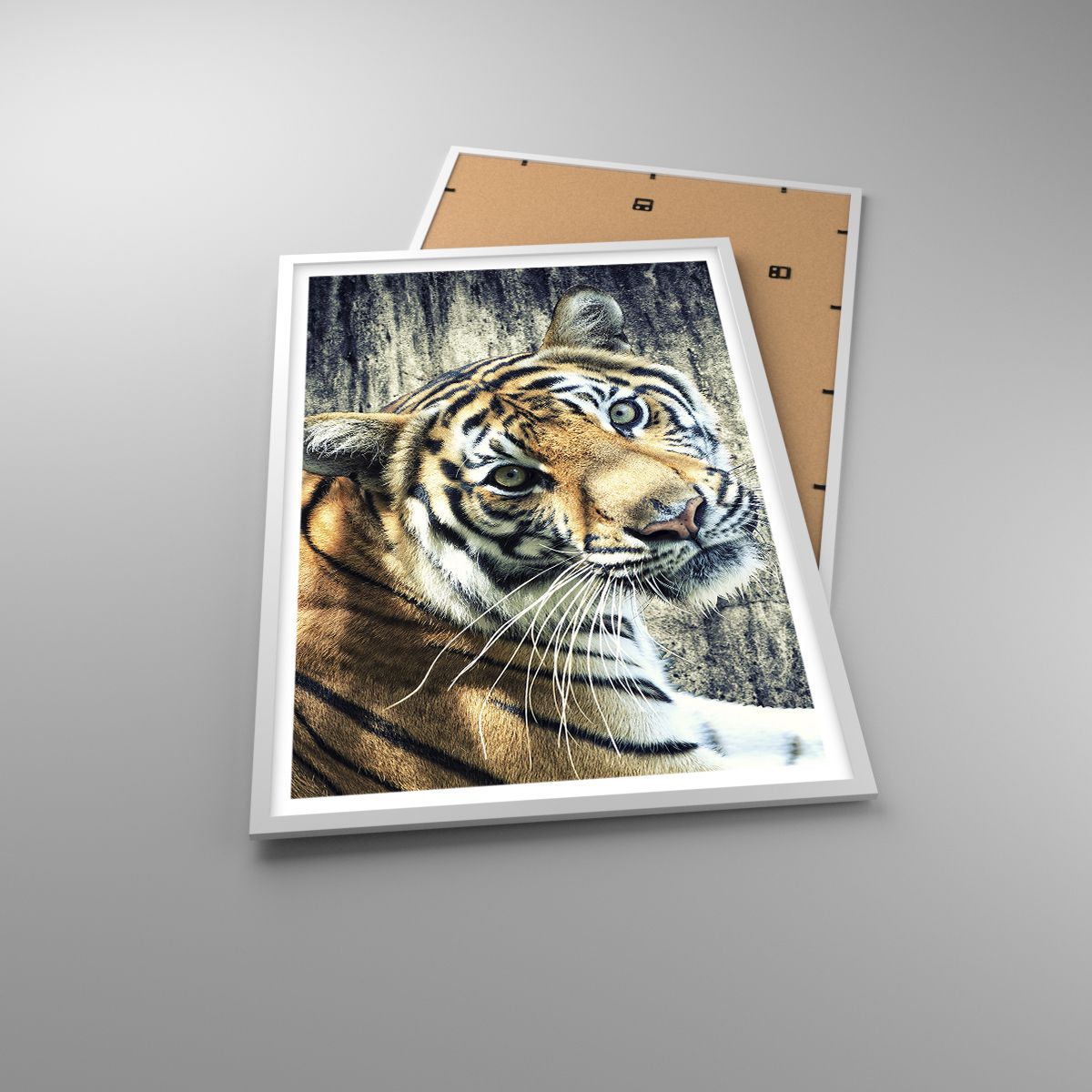 Affiche Animaux, Affiche Tigre, Affiche Afrique, Affiche Animal Sauvage, Affiche Inde