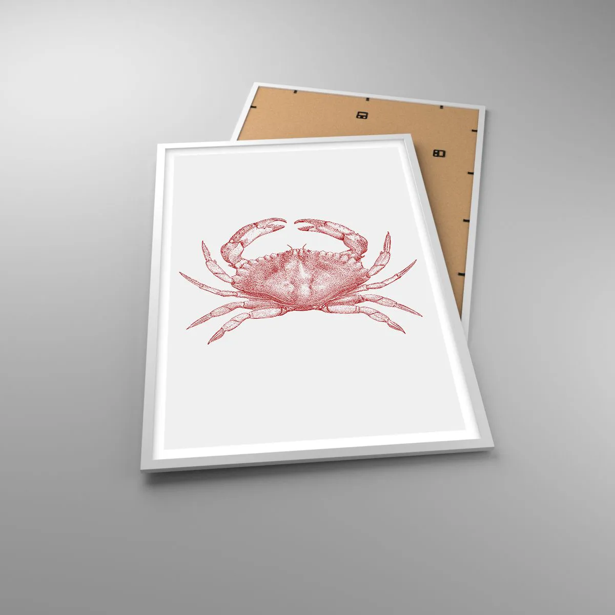 Affiche dans un cadre blanc - Poster - Le crabe des crabes - 61x91 cm
