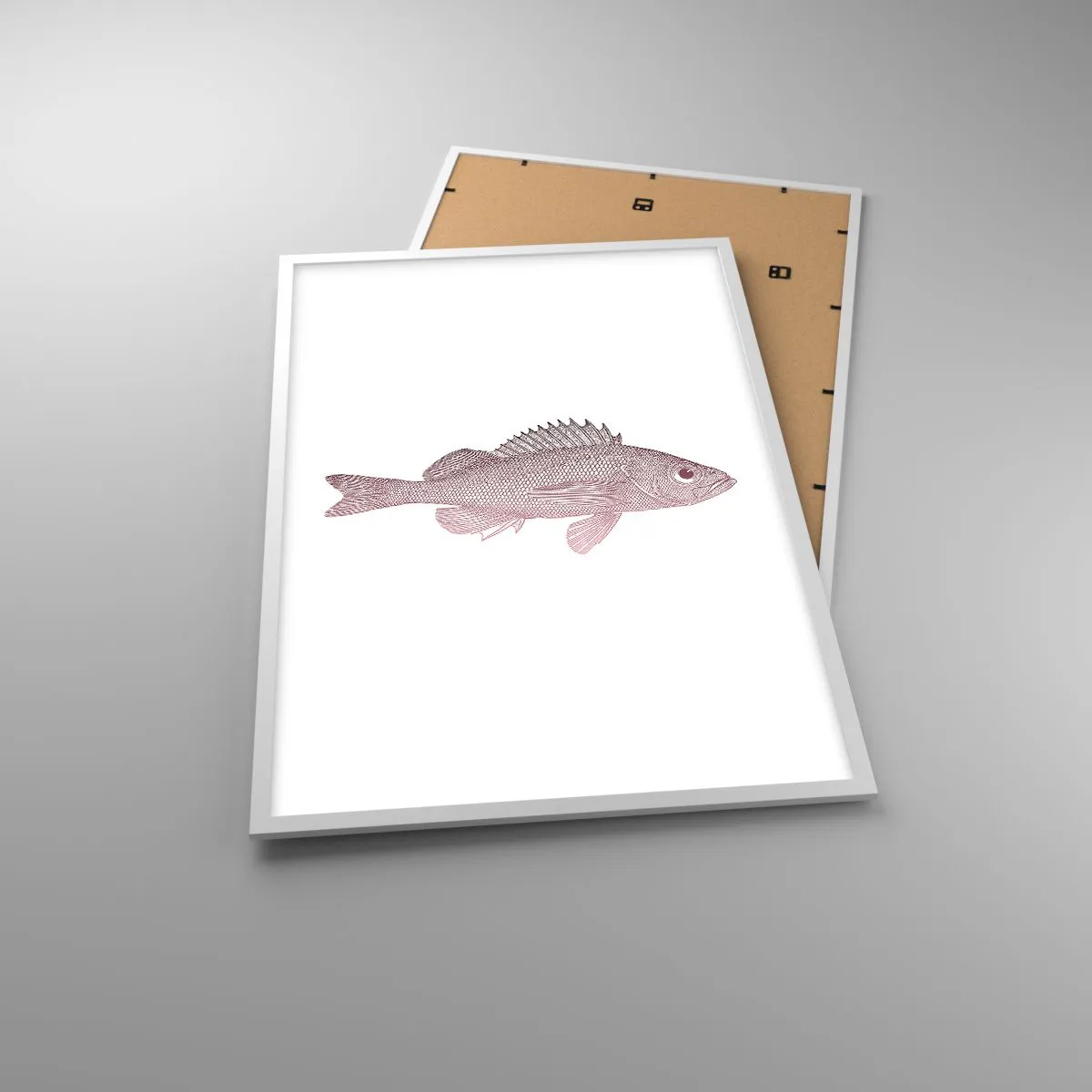 Poszter fekete keretben - Nagyszemű hal - 61x91 cm