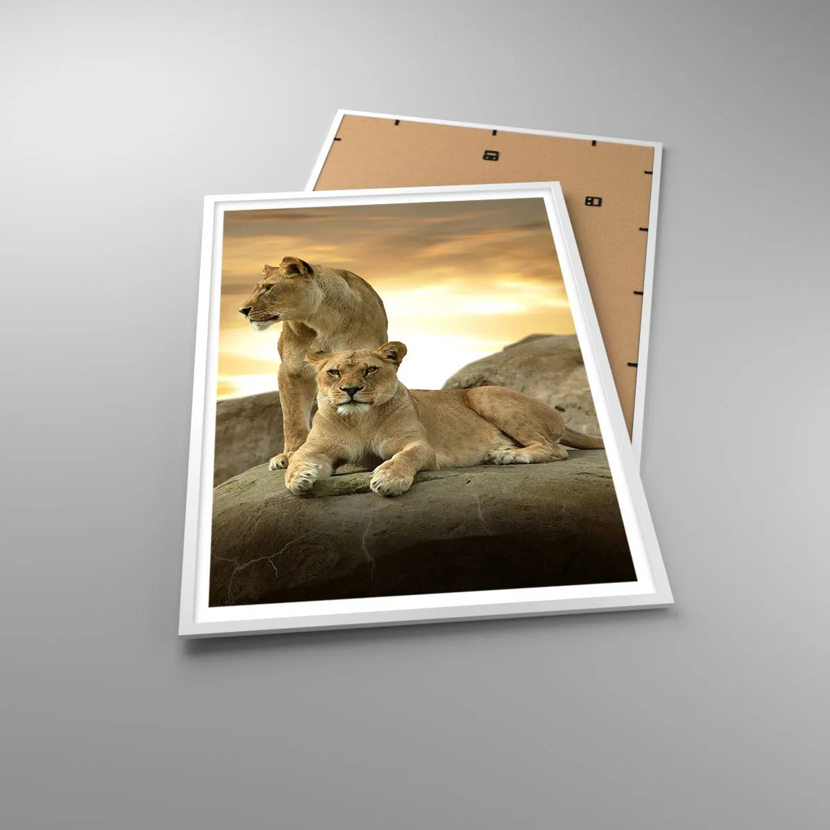 Affiche dans un cadre blanc - Poster - Majesté royale - 70x100 cm