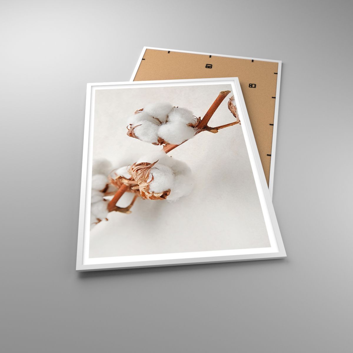 Plakat Bomuldsblomst, Plakat Blomst, Plakat Bomuldskvist, Plakat Natur, Plakat Boho