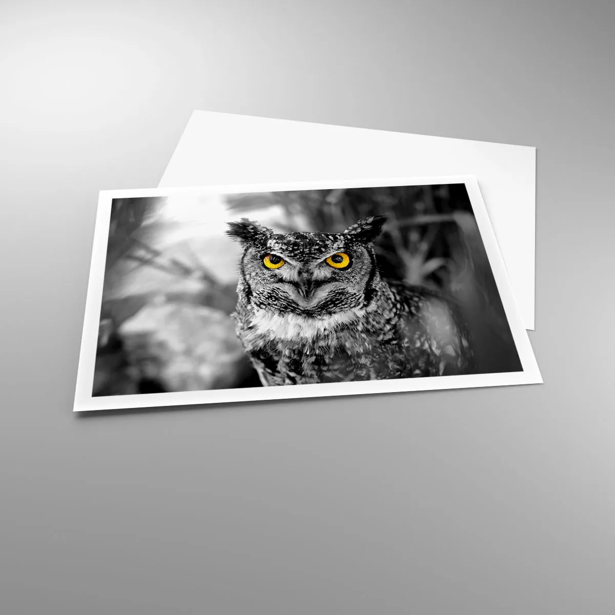 Poster - Uno scatto in bianco e nero di un gufo con gli occhi gialli - 100x70cm - Non si può nascondere niente - Decorazione murale moderna per soggiorno e camera da letto ARTTOR