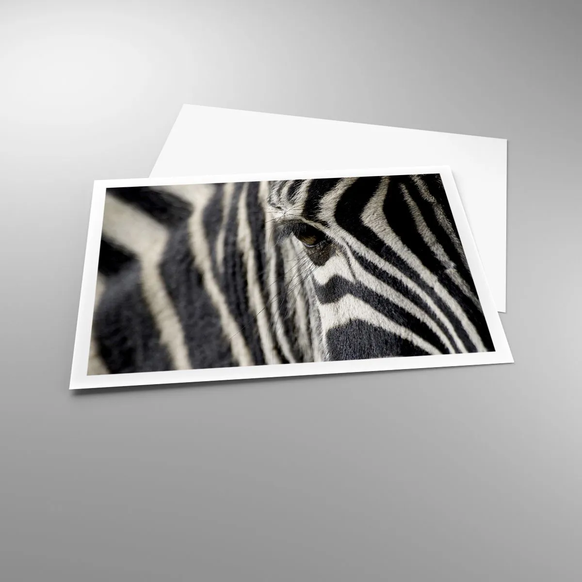 Affiche - Poster - Gros plan de l'œil d'un zèbre avec des rayures noires et blanches - 100x70cm - Portrait en rayure - Décoration murale moderne pour le salon et la chambre ARTTOR