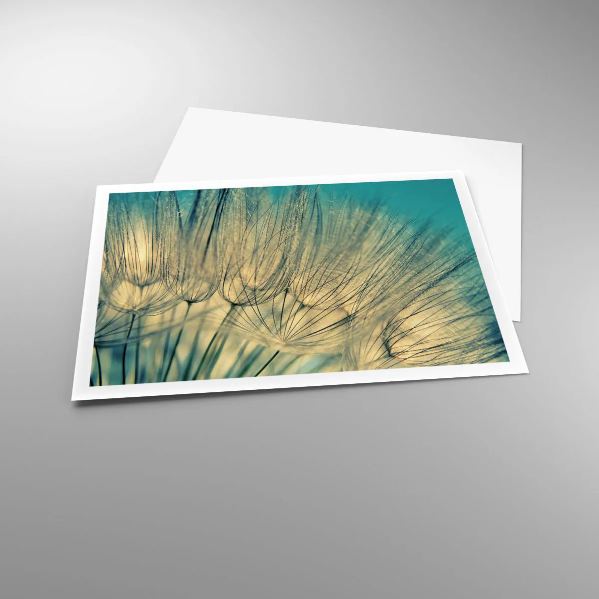 Poster - In afwachting van de wind - 100x70 cm