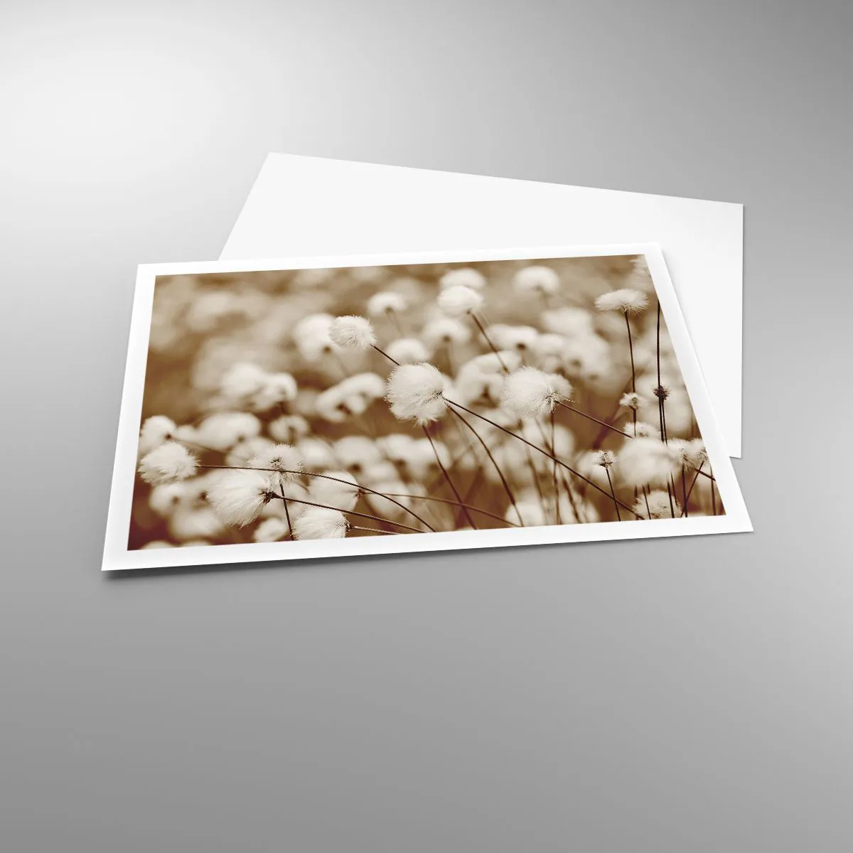 Póster - Un campo de delicadas plantas en tonos sepia. - 100x70cm - Un mullido colchón - Decoración de pared moderna para salón y dormitorio ARTTOR