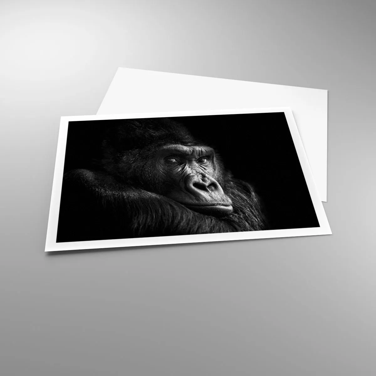 Affiche - Poster - Portrait noir et blanc d'un gorille majestueux - 100x70cm - Et qu'est-ce que tu regardes? - Décoration murale moderne pour le salon et la chambre ARTTOR