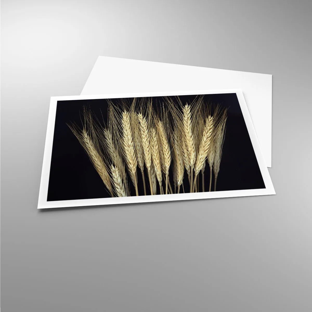 Póster - Espigas de trigo sobre fondo negro en estilo rústico - 100x70cm - Magia rústica - Decoración de pared moderna para salón y dormitorio ARTTOR