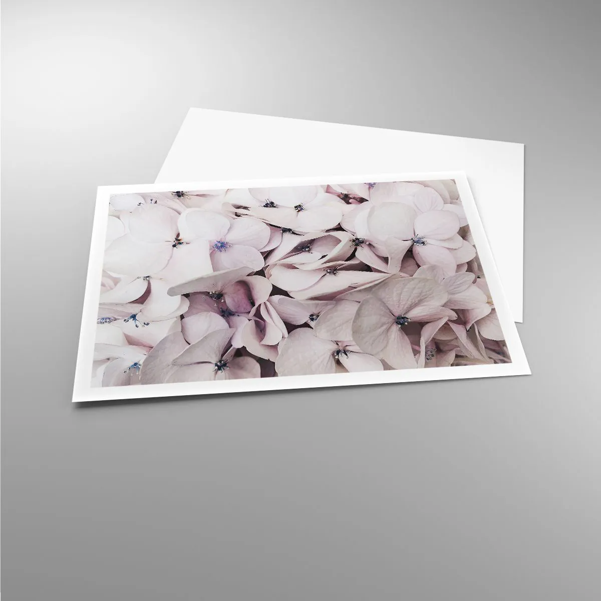 Poster - Într-un potop de flori - 100x70 cm